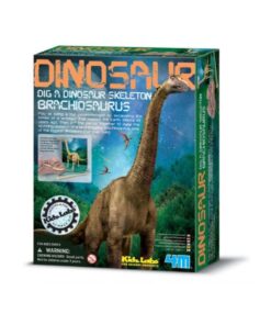 Dig A Dinosaur Skeleton Branchisaurus