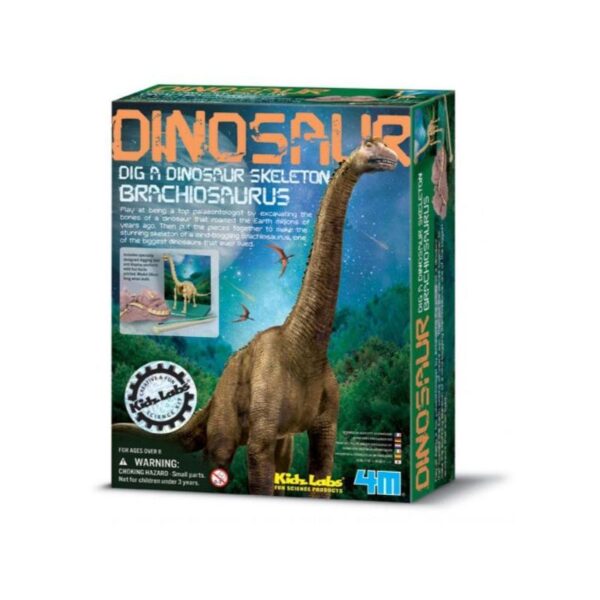Dig A Dinosaur Skeleton Branchisaurus