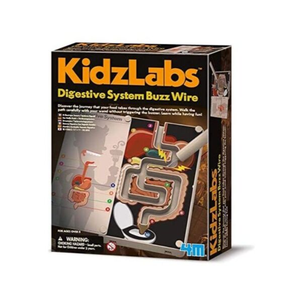 Digestive System Buzz Wire