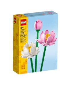 40647 Lotus Flowers