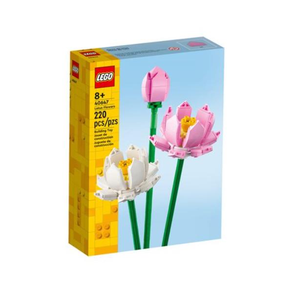 40647 Lotus Flowers
