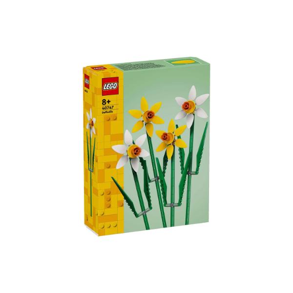 40747 Daffodils