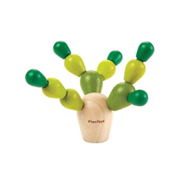 Balancing Cactus