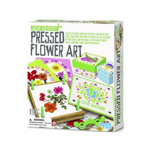 Pressed Flower Art