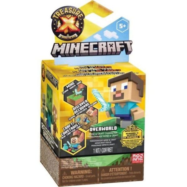 Treausure X Minecraft Overworld
